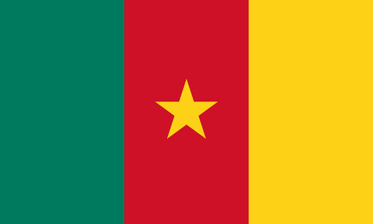 INR-CRN-15x22-2 - государственный флаг Камеруна, размер: 15х22 см, материал: атлас. Печать с двух сторон. Подставка и шток приобретаются отдельно