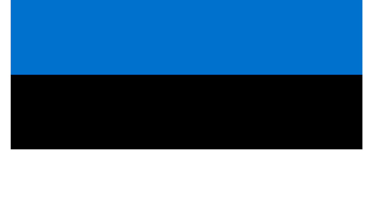 INR-EST-15x22-2 - государственный флаг Эстонии, размер: 15х22 см, материал: атлас. Печать с двух сторон. Подставка и шток приобретаются отдельно