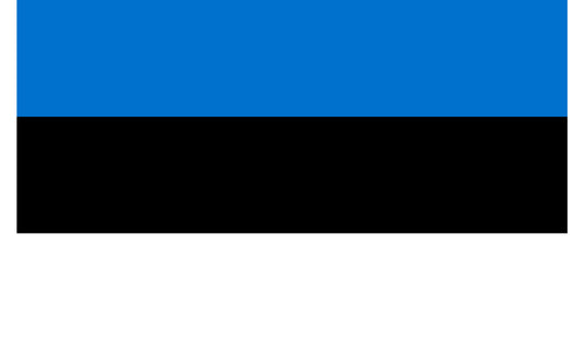 INR-EST-15x22-2 - государственный флаг Эстонии, размер: 15х22 см, материал: атлас. Печать с двух сторон. Подставка и шток приобретаются отдельно